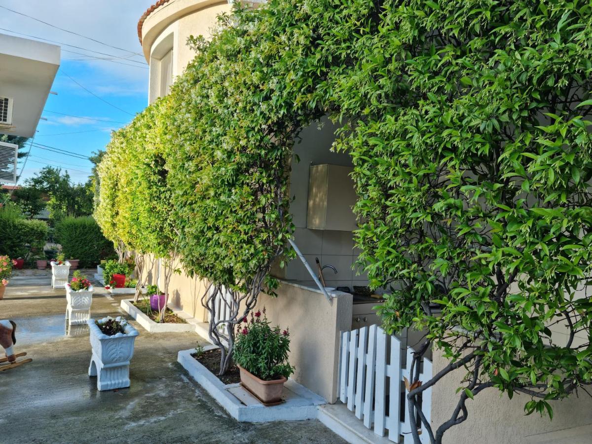 Guesthouse Novi Durres Exterior photo